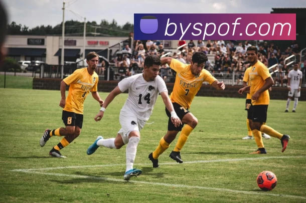 必赢体育APP 封面图